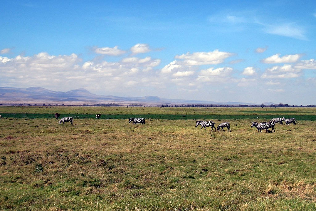 Kenia (155).jpg